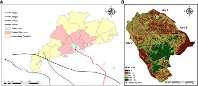 Analyzing the response distribution of DO concentration and its environmental factors under the influence of typhoon rain events with remote sensing